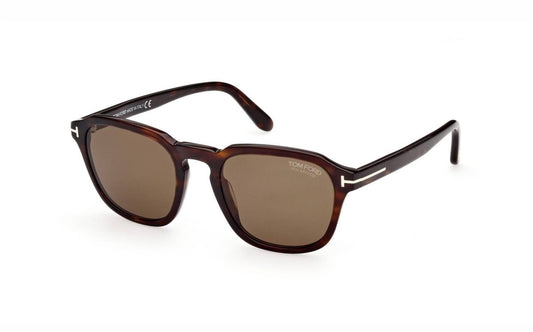 Tom Ford Avery Sunglasses FT093152H52 Brown